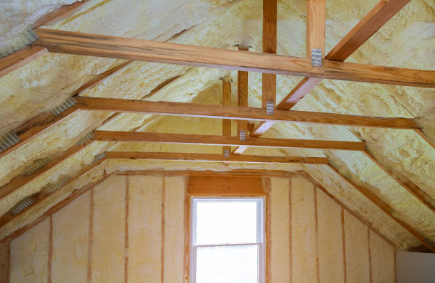 Best Commercial Insulation in Connerton, FL