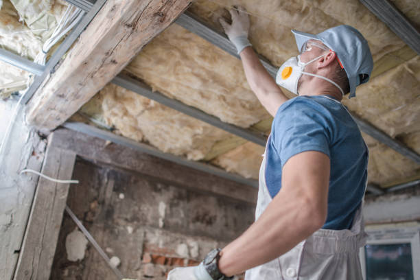 Best Residential Insulation in Connerton, FL