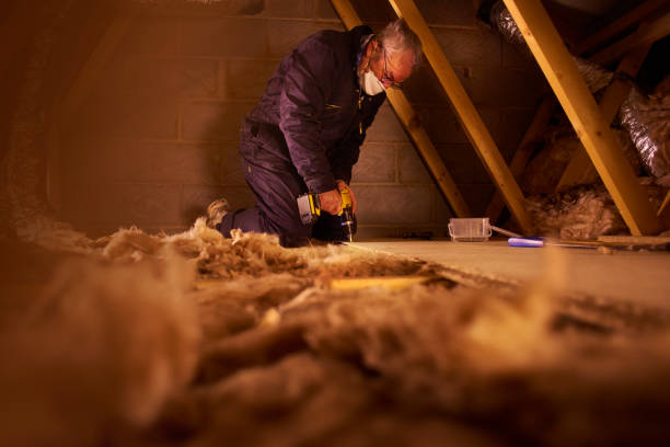 Best Insulation Installation Services in Connerton, FL